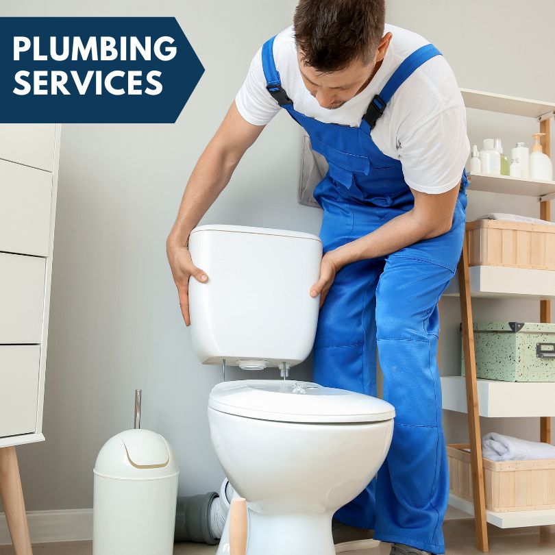 Plumbing Company in Williamsfield, IL